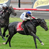 Americain stuns So You Think to win Melbourne Cup